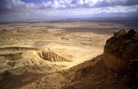 Sinai Desert